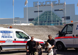 5-excel-top-dog-security-team
